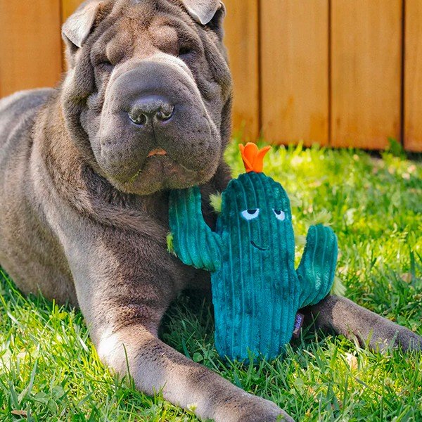 Igrača za pse Cactus - P.L.A.Y.-image-1