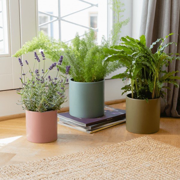 Porcelanasti podstavki za cvetlične lonce v kompletu 3 ks za zelišča ø 17 cm Turin – Remember-image-1