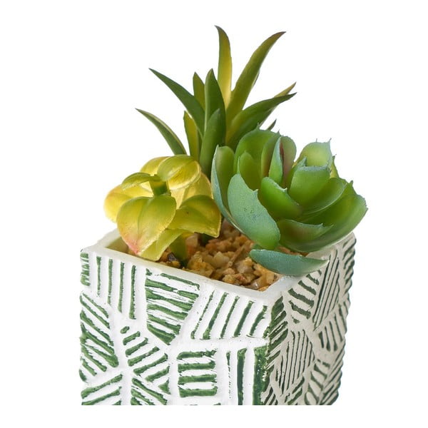 Umetne rastline v kompletu 3 ks (višina 12 cm) Cactus – Casa Selección-image-2
