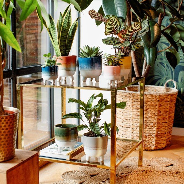 Siv cvetlični lonček Sass & Belle Bohemian Home Mojave, ø 11,7 cm-image-1