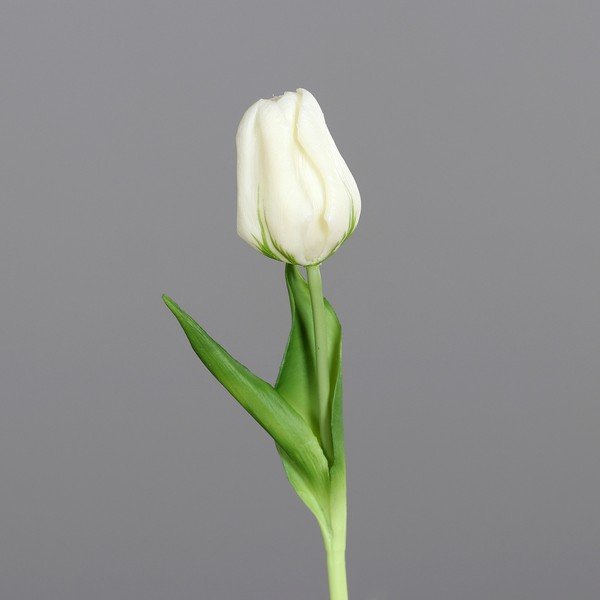 Umetna rastlina (višina 20 cm) Tulip – Ego Dekor