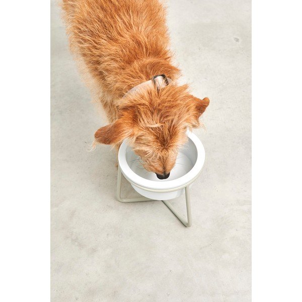 Porcelanasta posoda s podstavkom za pse ø 20 cm Pranzo Greige M – MiaCara-image-3