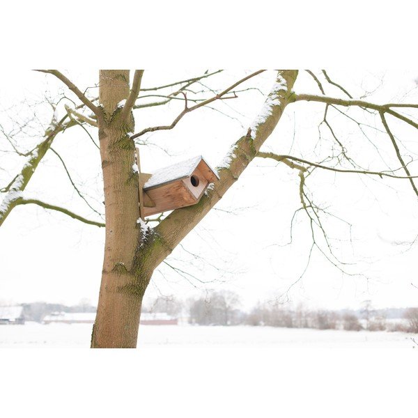 Lesena hiška za sove – Esschert Design-image-2