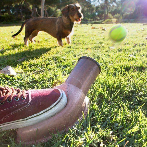 Metalec žogic za pse InnovaGoods Playdog-image-1