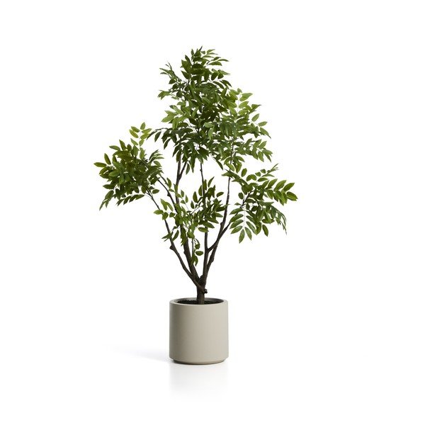 Umetna rastlina (višina 185 cm) Rhus – Kave Home