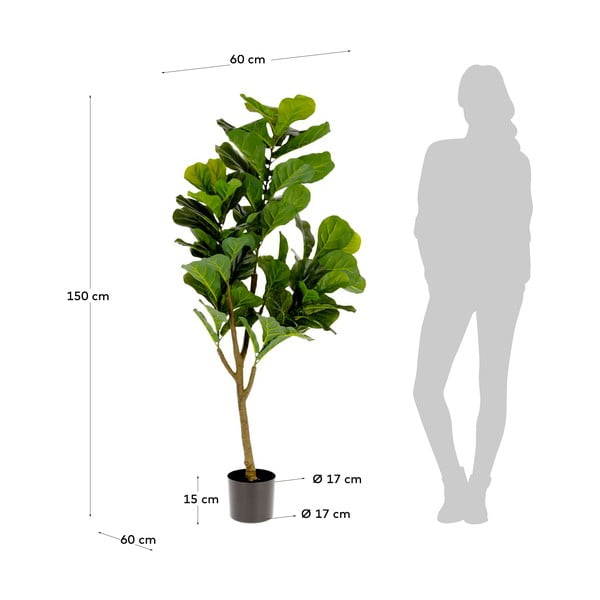Umetni fikus (višina 150 cm) Lyrata – Kave Home-image-2