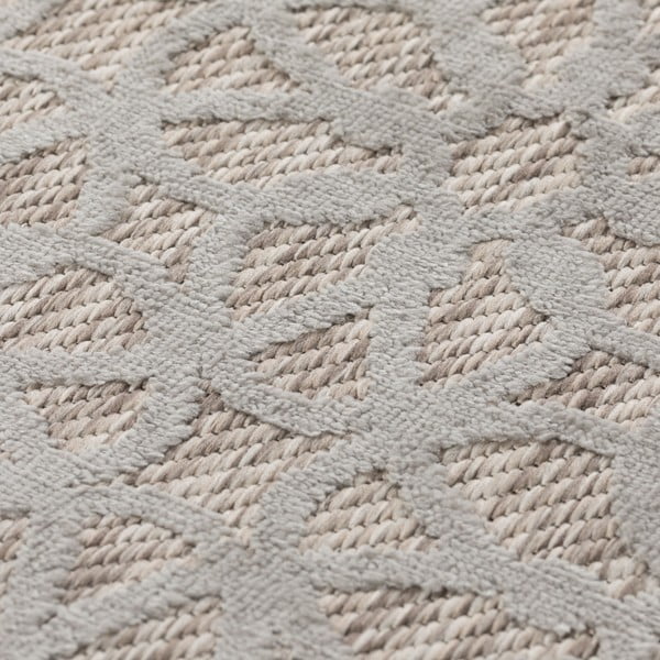 Siva zunanja preproga 230x160 cm Argento - Flair Rugs-image-4