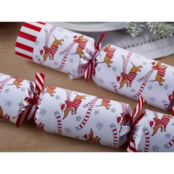 Božične pokalice v kompletu 6 ks Racing Sausage Dog – Robin Reed-image-2