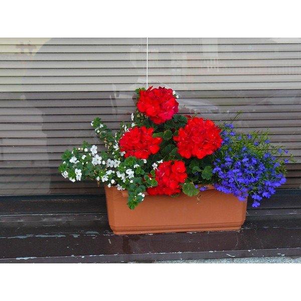 Rjavo samozalivalno cvetlično korito Plastia Siesta, dolžina 60 cm-image-1