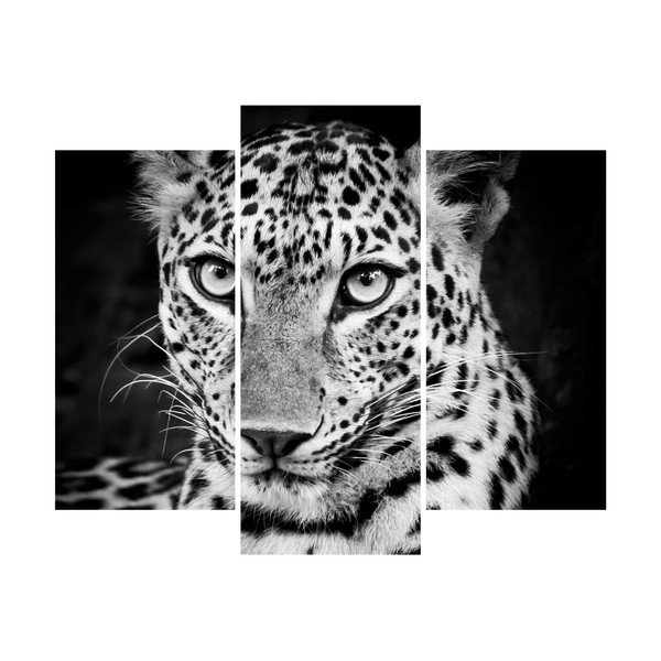 Ambiance Leopard nalepka-image-2