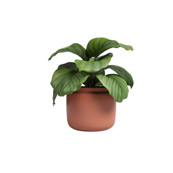 Keramičen ročno poslikan cvetlični lonec ø 20 cm Astrea – Artevasi-image-4