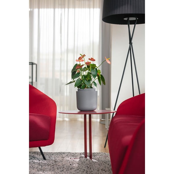 Siv samozalivalni cvetlični lonček Plastia Tolita, ø 19 cm-image-2