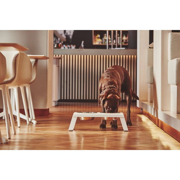 Kovinski komplet posod s podstavkom za pse Desco White M – MiaCara-image-1