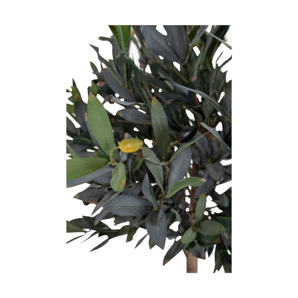 Umetna oljka (višina 126 cm) – House Nordic-image-4