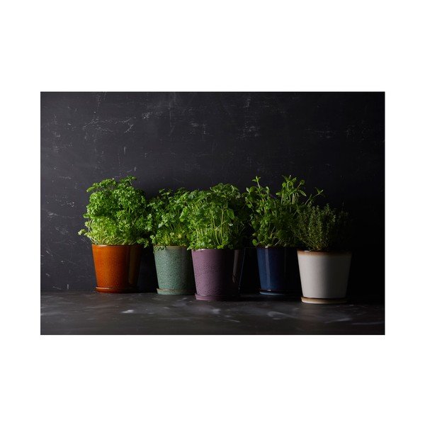 Okrasni cvetlični lonec iz kamenine ø 14 cm Gastro Green/Black – Bitz-image-2