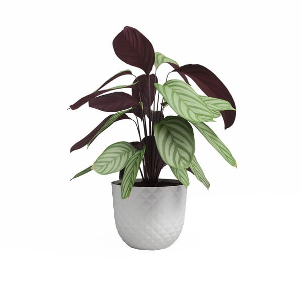 Cvetlični lonec iz reciklirane plastike ø 30 cm Havana – Artevasi-image-2