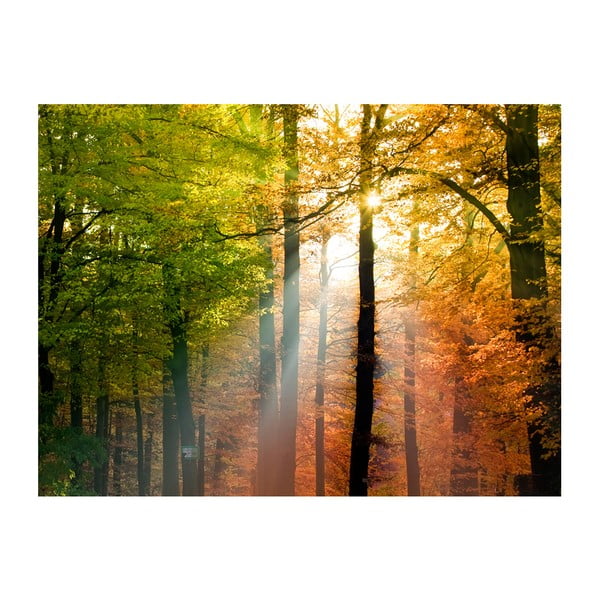 Tapeta velikega formata Artgeist Beautiful Autumn, 200 x 154 cm