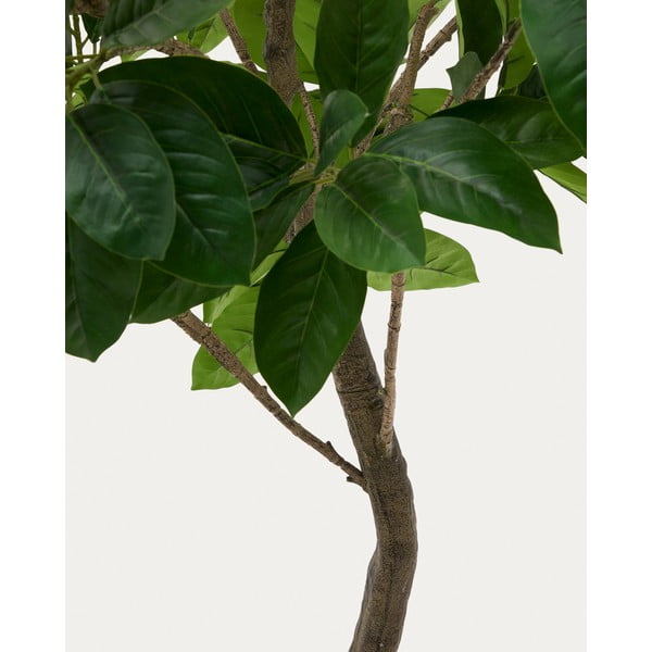 Umetni fikus (višina 210 cm) Ficus – Kave Home-image-2