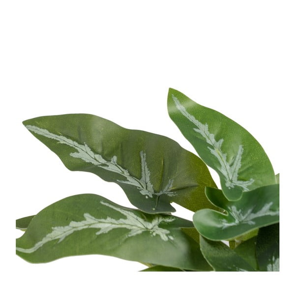 Umetna rastlina (višina 21 cm) Syngonium – Ixia-image-2