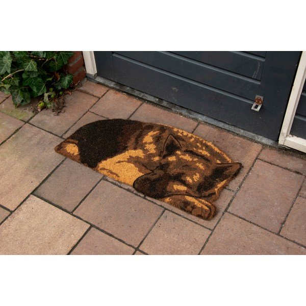 Predpražnik iz kokosovih vlaken 37x75 cm - Esschert Design-image-1