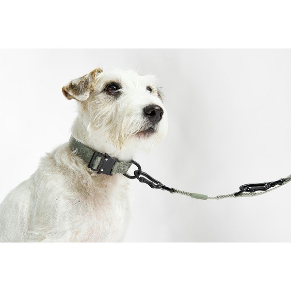 Temno siva ovratnica velikosti L/XL dolžina 40 cm Modena Asphalt L/XL – MiaCara-image-1