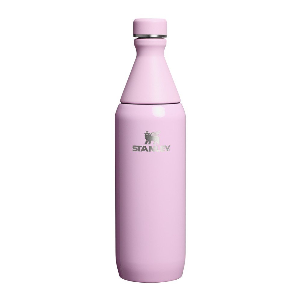 Rožnata termovka iz nerjavečega jekla 600 ml All Day Slim Bottle Cherry Blossom Gloss