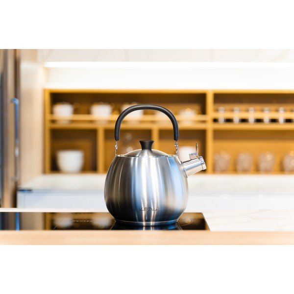 Srebren čajnik iz nerjavečega jekla Vialli Design Bolla, 2,5 l-image-1