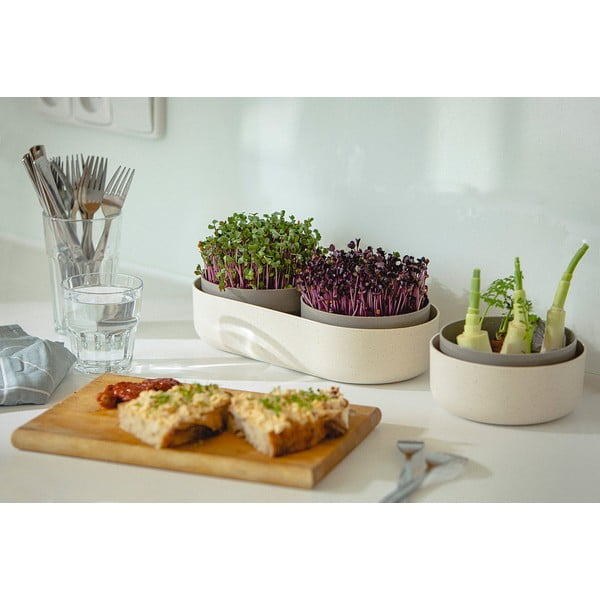 Posoda za kaljenje, ø 16 cm Regrow - Plastia-image-4