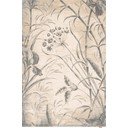 Kremno bela volnena preproga 300x400 cm Botany – Agnella