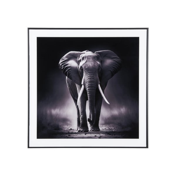 Slika 50x50 cm  Elephant  – PT LIVING