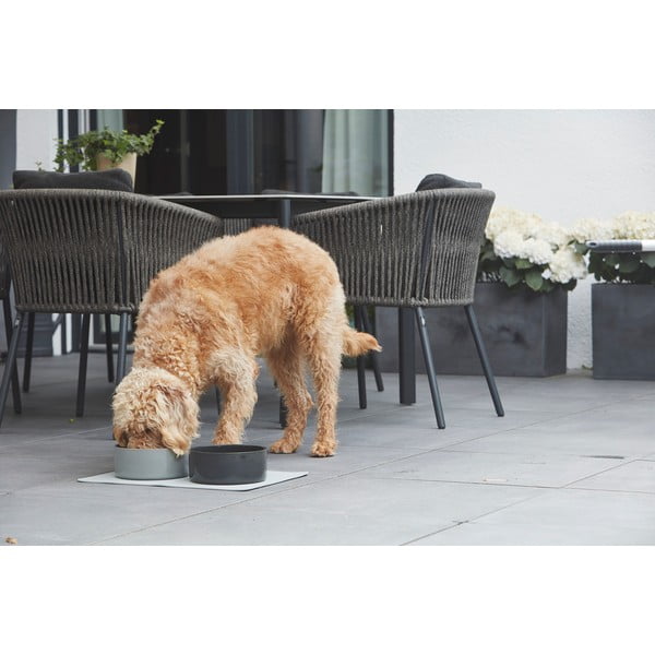 Porcelanasta posoda za hrano za pse ø 20 cm Scodella Graphite M/L – MiaCara-image-1