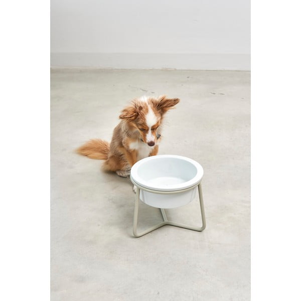 Porcelanasta posoda s podstavkom za pse ø 20 cm Pranzo Greige M – MiaCara-image-1