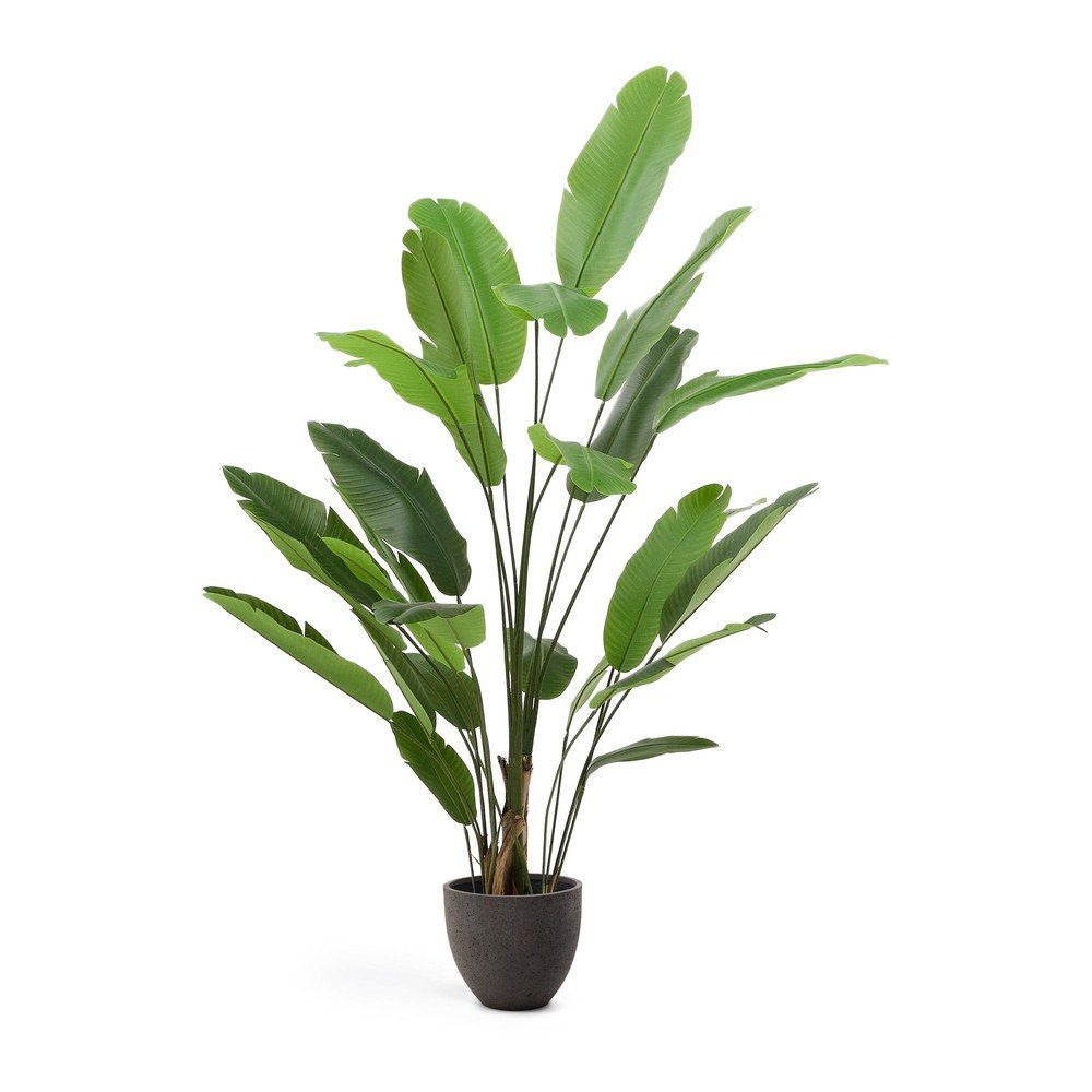 Umeten bananovec (višina 210 cm)
