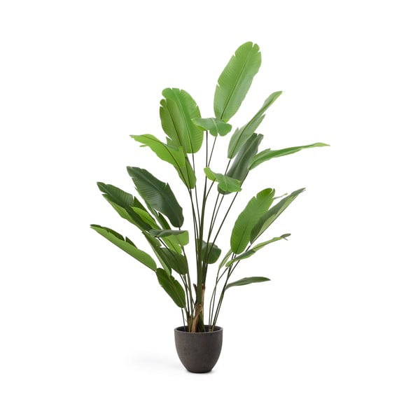 Umeten bananovec (višina 210 cm) – Kave Home