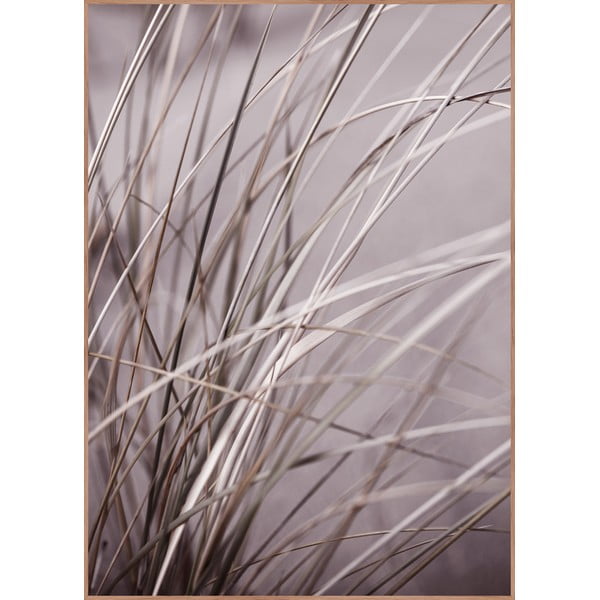 Slika 50x70 cm Mellow Grasses 1 – Malerifabrikken