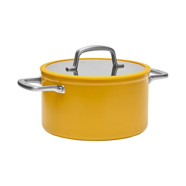 Lonec s pokrovko/s keramično prevleko za indukcijsko ploščo 5,5 l Meda 3.0 – FABINI