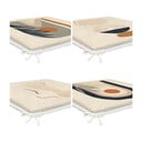 Sedežne blazine v kompletu 4 ks 42x42 cm Illustrated Arch – Mila Home