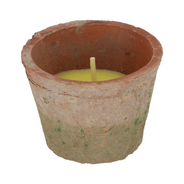 Dišeča sveča čas gorenja 10 h Citronelle – Esschert Design-image-3