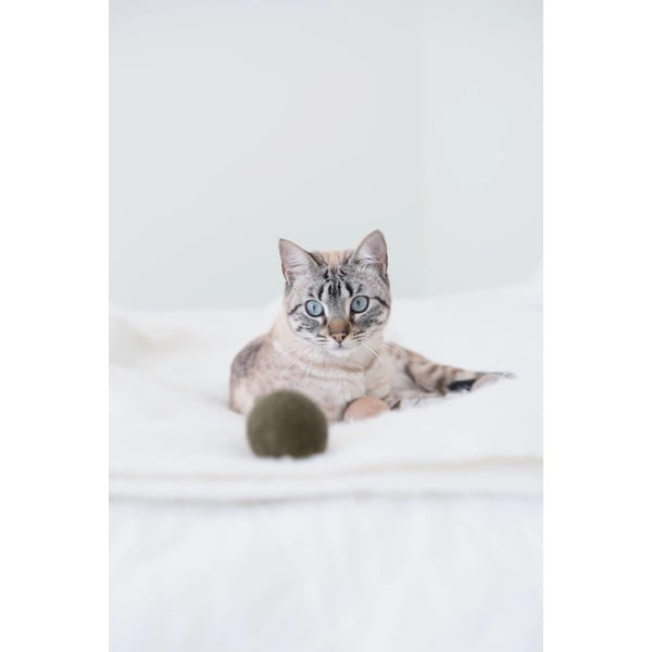 Mačje igrače v kompletu 3 ks Globo Nougat – MiaCara-image-3