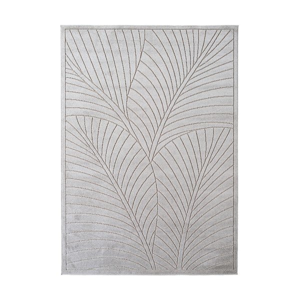 Notranja in zunanja preproga v srebrni barvi 120x170 cm Nova 1203 – Ayyildiz Carpets