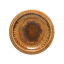 Rjav desertni krožnik iz kamenine ø 20 cm Poterie – Casafina