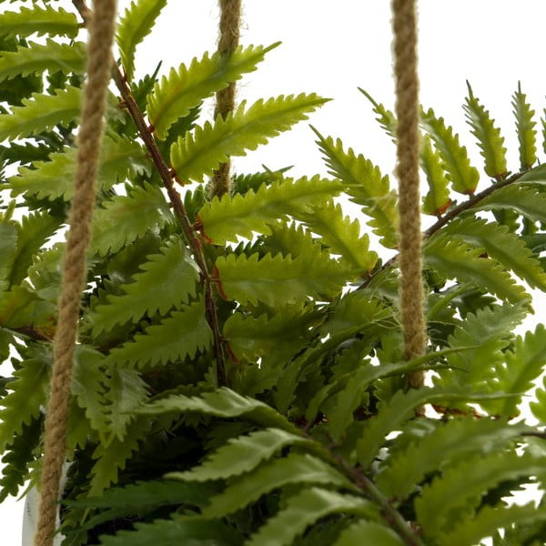 Umetna rastlina (višina 24 cm) – Casa Selección-image-1