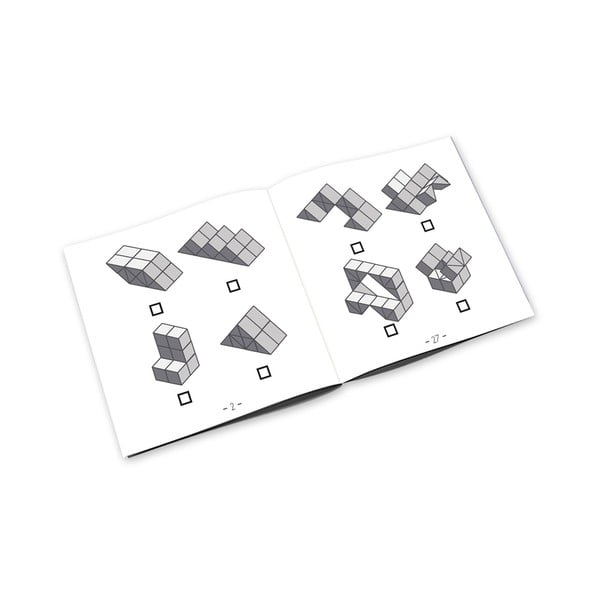 Miselna igra Dynacube – RecentToys-image-2