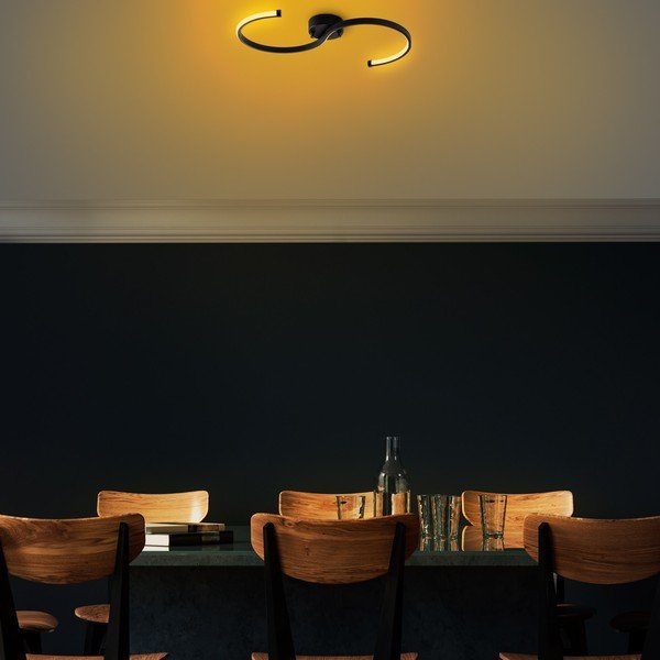 Črna LED stropna svetilka 25x10 cm Es – Opviq lights-image-4