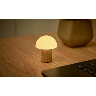 LED zatemnitvena namizna svetilka iz masivnega jesena v naravni barvi (višina 7 cm) Alice – Gingko