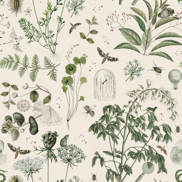 Tapeta iz netkanega tekstila 100 cm x 280 cm Green Botanical Stories – Dekornik