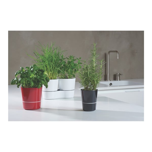 Siv lonček za zelišča Mepal Hydro Herbs-image-3