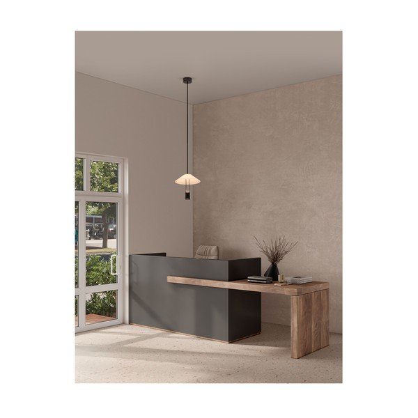 Mat črna aluminijasta LED viseča svetilka s senčilom iz akrilnega stekla ø 22 cm Anafi – Nova Luce-image-1