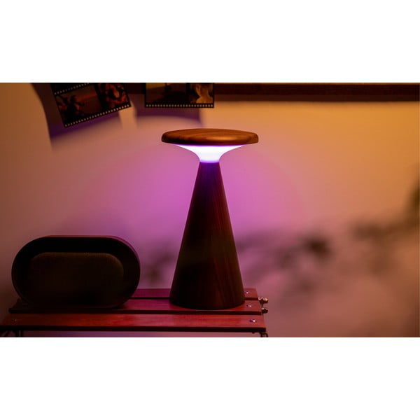 LED namizna svetilka v temni naravni barvi z lesenim senčilom (višina 21 cm) Sylva – Gingko-image-4