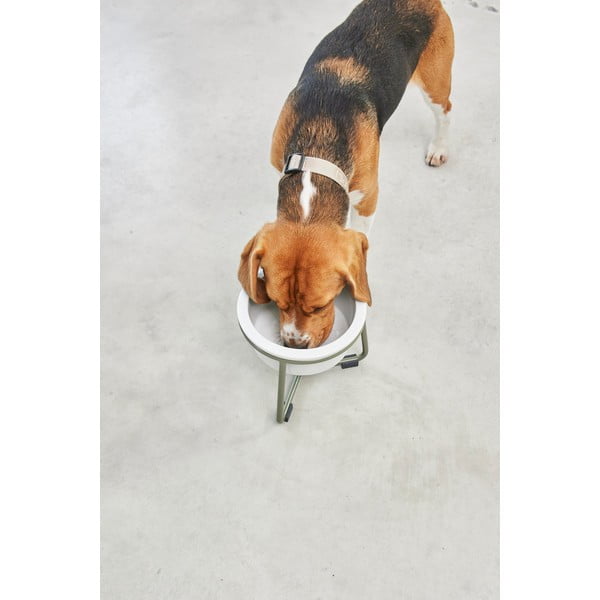 Porcelanasta posoda s podstavkom za pse ø 20 cm Pranzo Grolive M – MiaCara-image-4